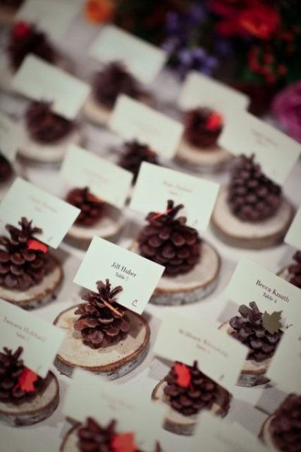 displaying cards on pinecones and wood slices is an awesome idea for a woodland, fall or winter wedding