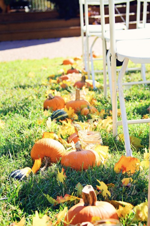fall wedding aisle decorated with pumpkins and bold fall leaves and gourds is a gorgeous idea for a rustic fall wedding