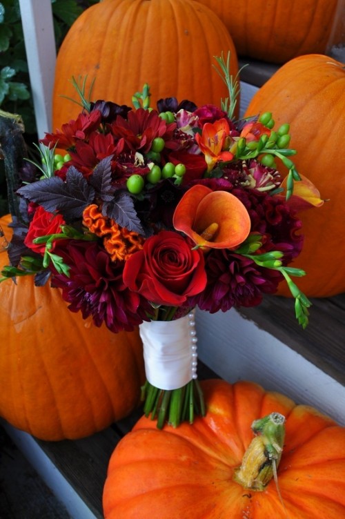 a sumptuous fall wedding bouquet of burgundy, deep purple, orange, red blooms, berries and dark foliage for a bright rustic wedding in the fall