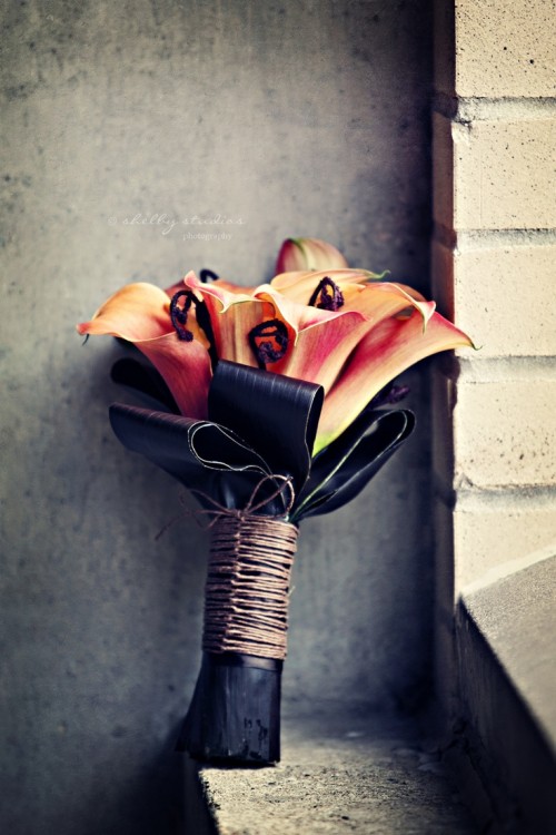 a bold Halloween wedding bouquet of orange callas, lotes and black leaves plus a wrap is a bold and statement-like idea