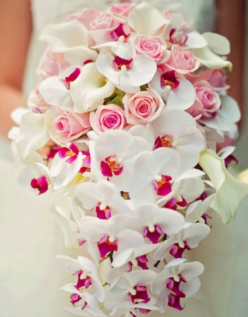 a light pink rose, white callas and white and pink orchid cascading wedding bouquet is pure luxury and beauty for Valentine's Day