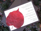 a chocolate brown and white wedding invitation suite with a bright red fall leaf
