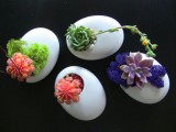 creative white egg planters with colorful succulents and moss plus greenery is a unique idea for a minimalist wedding