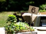 a rustic wedding centerpiece of a wooden box, moss and several large succulents plus a table number