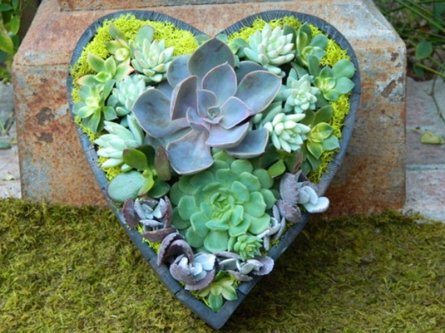 a heart shaped concrete planter with colorful moss and succulents of various shades will bring a touch of romance to the reception