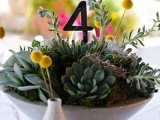 an oversized concrete planter with lots of succulents, billy balls and a table number is a simple and stylish modern decor idea
