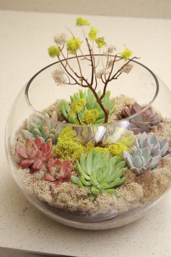 A trendy terrarium wedding centerpiece with lots of succulents, moss and branches is your natural touch to the reception