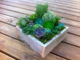 a rustic wedding centerpiece of a wooden box with lots of greenery and various succulents