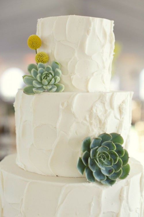 a white textural buttercream wedding cake decorated with succulents and billy balls is a cool idea for a mid-century modern wedding
