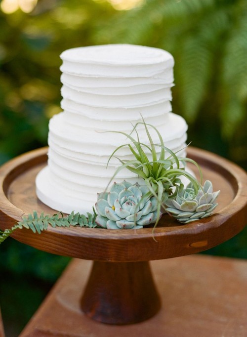a white striped buttercream wedding cake decorated with succulents and an air plant is a stylish idea for a modern wedding