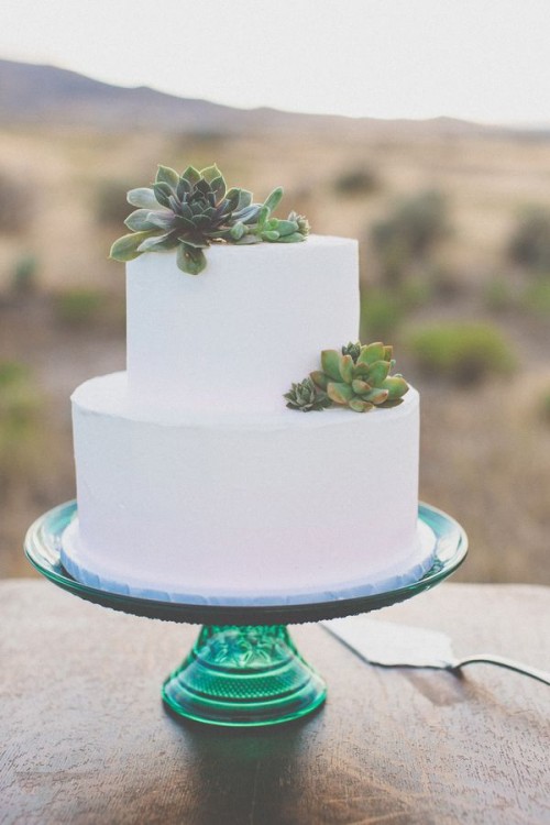 a plain and sleek white buttercream wedding cake decorated with a couple of succulents is a stylish and laconic idea for any modern or minimalist wedding