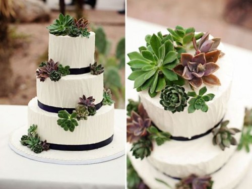 a white textural buttercream wedding cake with black ribbons and succulents on top and on the sides for an elegant rustic-inspired wedding