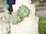 a white textural buttercream wedding cake decorated with a couple of succulents is a lovely idea for many weddings – its decor and design are pretty universal