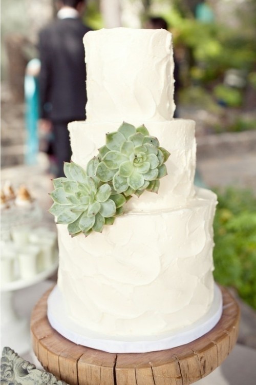 a white textural buttercream wedding cake decorated with a couple of succulents is a lovely idea for many weddings - its decor and design are pretty universal