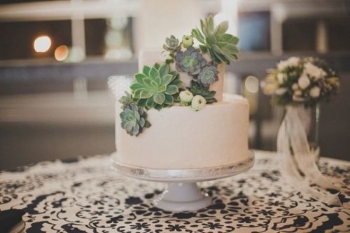a small two-tier buttercream wedding cake decorated with a whole arrangement of succulents and with white blooms looks very nice and very fresh