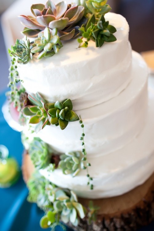 a white textural buttercream wedding cake decorated with lots of various succulents is a lovely idea for many weddings
