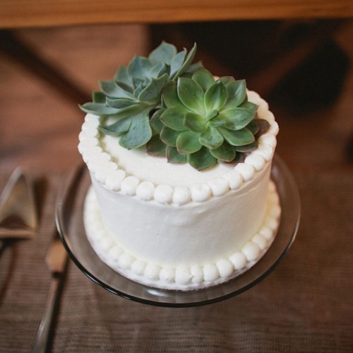 a small white wedding cake topped with sugar beads and with succulents is a pretty and edgy idea for a small wedding