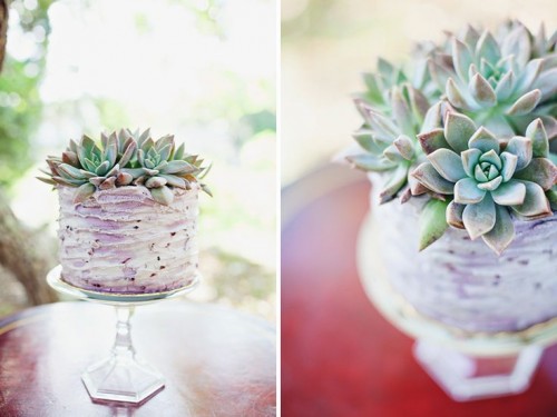 a whimsical ombre lilac buttercream wedding cake topped with succulents is a very cool modern idea for a wedding