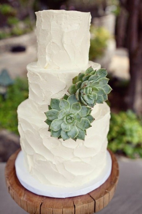 a white textural buttercream wedding cake decorated with a couple of fresh succulents is a cool idea for a rustic or modern wedding