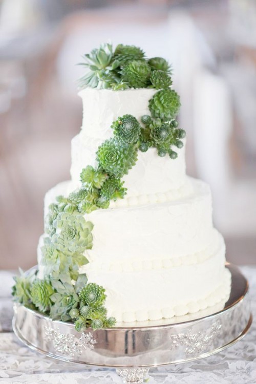 a multi-tier white buttercream wedding cake decorated with a pattern of succulents and with them on top, too, is a cool and pretty idea for a modern wedding