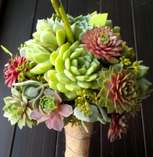 a bright succulent wedding bouquet with a burlap wrap is a lovely idea for a rustic wedding or any other if you change the wrap
