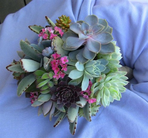 a bright wedding bouquet of succulents of various shades and hot pink fillers is a gorgeous idea for a modern bride, it will bring a slight touch of color