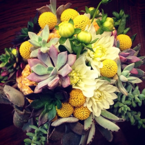 a bright wedding bouquet of white blooms, billy balls, large succulents is a catchy and bold idea for spring and summer