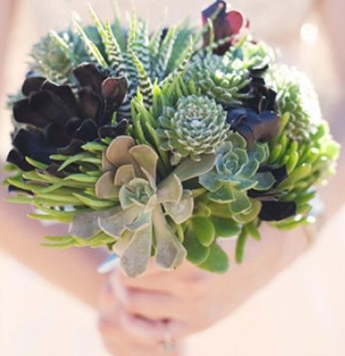 a bold succulent wedding bouquet with usual and dark succulents is a creative idea for a modern bride, who needs greenery or blooms when there are little succulent cuties