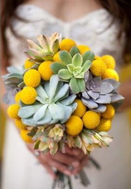 a succulent wedding bouquet of various shades, with billy balls is a catchy and bold idea for a spring or summer wedding