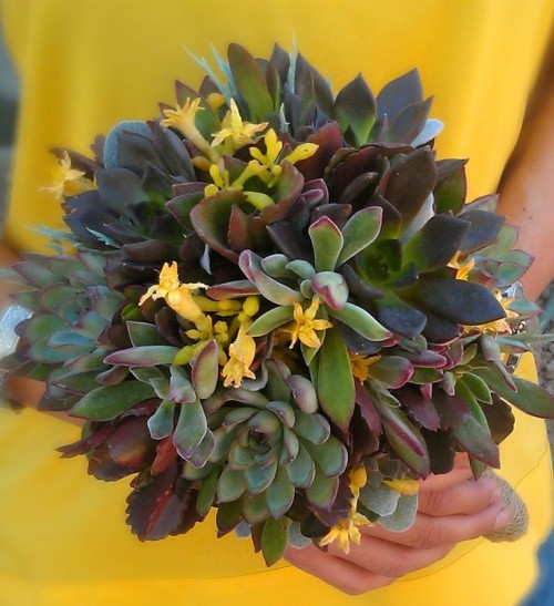 a succulent wedding bouquet dotted with yellow blooms for a color accent is a lovely and stylish idea to rock