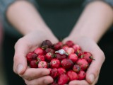 unique-cranberry-harvest-engagement-session-2
