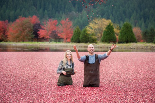 Unique Cranberry Harvest Engagement Session