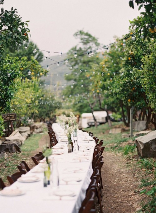 a vineyard wedding reception with a long table, neutral linens, neutral blooms and some string lights over the space