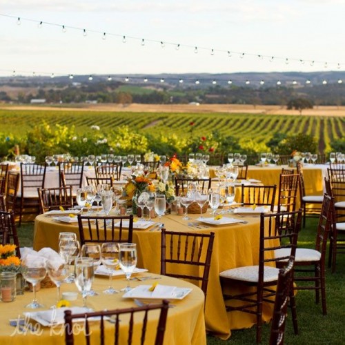 a colorful vineyard wedding reception with mustard tablecloths and yellow blooms and greenery plus a view of the vines and bold blooms