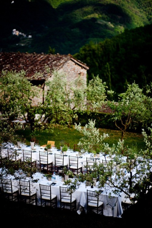 a chic and fresh vineyard wedding reception with greenery and trees around, with white linens and white chairs