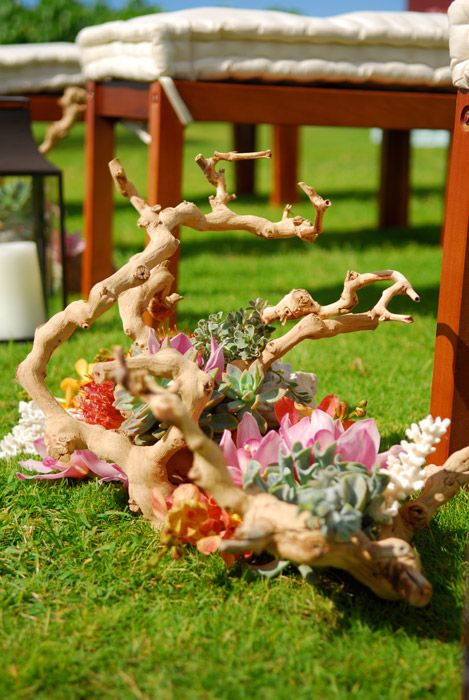 a driftwood wedding decoration with succulents and pink and white blooms is amazing to line the beach wedding aisle