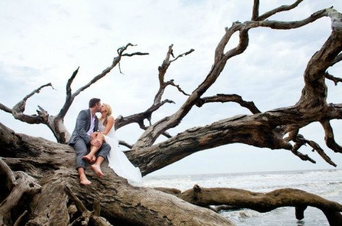 take your wedding portraits on large pieces of driftwood and branches on the beach to embrace to location