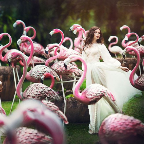 a bridal portrait in a flock of pink flamingos is a gorgeous, dreamy and unique idea that will help you stand out